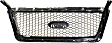 Grille Assembly, Chrome Shell with Beige Insert, Lariat Model, 8 Cyl., 5.4L Engine