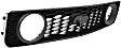 Grille, Textured Black, GT Model, 8 Cyl., 4.6L Engine