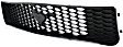 Grille Assembly, Painted Black Shell and Insert