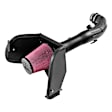 615165 Cold Air Intake, Dry Filter, Plastic Tube, Delta Force Series