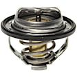 32022446 Thermostat