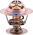 7.8396S Thermostat