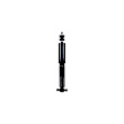 341599 Front, Driver or Passenger Side Shock, RWD