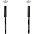 8341424 Rear, Driver and Passenger Side Shock
