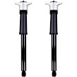 8341716 Rear, Driver and Passenger Side Shock