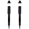 8343309 Rear, Driver and Passenger Side Shock