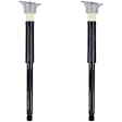 8346781 Rear, Driver and Passenger Side Shock