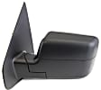 2004-2006 Ford F-150 - Driver Side Mirror, Power Adjust, Heated, Manual Folding, Textured Black, In-housing Signal Light, No Memory, No Puddle Light, No Auto-Dimming, No Blind Spot Feature