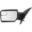 2014 Ford F-150 XL - Driver Side Mirror, Power Adjust, Non-Heated, Textured Black, Manual Folding, No Signal Light, With Blind Spot Glass, No Memory, No Puddle Light, No Auto-Dimming