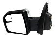 2018 Ford F-150 - Driver Side Mirror, Power Adjust, Heated, Chrome, Power Folding, In-housing Signal Light, With Blind Spot Glass, With Memory, With Puddle Light, No Auto-Dimming
