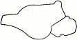 35612 Water Pump Gasket - Direct Fit, Sold Individually