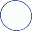 70725 Camshaft Position Sensor Seal