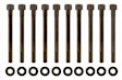 ES 71201 OE Replacement Series Cylinder Head Bolt, Set of 10