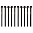 ES 72207 OE Replacement Series Cylinder Head Bolt, Set of 10