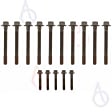 ES 72220 OE Replacement Series Cylinder Head Bolt, Set of 15