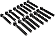 ES 72794 OE Replacement Series Cylinder Head Bolt, Set of 16