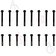 ES 74033 OE Replacement Series Cylinder Head Bolt, Set of 16