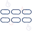 MS96252 Intake Plenum Gasket