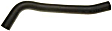 2006 Hyundai Azera - Radiator Hose Lower, 6 Cyl 3.8L