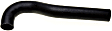 2012 Nissan Murano - Radiator Hose Lower - Radiator To Pipe, 6 Cyl 3.5L