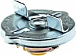 31723 Gas Cap