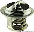 33857S Thermostat