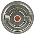 33992S Thermostat