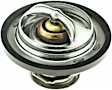 34219 Thermostat