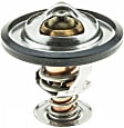 34813 Thermostat
