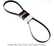 1994 Buick Regal - V-belt, 6, 6 Cyl 3.8L