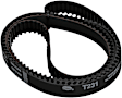 T231 Gates OE Replacement Timing Belt - Direct Fit, Sold Individually