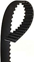TX244 Timing Belt - Direct Fit, Sold individually