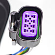 Driver Side Mirror, Power, Manual Folding, Heated, Paintable, In-housing Signal Light, No Memory, No Puddle Light, No Auto-Dimming, No Blind Spot Feature