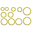 9643095 A/C Compressor Kit, Includes (1) A/C Compressor, (1) A/C Receiver Drier, (1) A/C Orifice Tube, (1) A/C O-Ring and Gasket Seal Kit