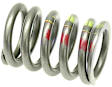 Genuine Mercedes Benz Valve Spring - Replaces OE Number 110-053-01-20