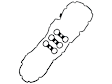 11-12-7-582-245 Genuine BMW Valve Cover Gasket Set - Genuine 11127582245