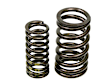 Genuine BMW Valve Spring Set - Replaces OE Number 11-31-7-830-890