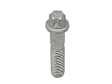 1987 BMW 325e - Genuine BMW Rear, Driver or Passenger Side Torx Screw