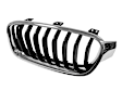 Genuine BMW Grille - Replaces OE Number 51-13-7-260-497