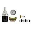 12-895KIT Fuel Pressure Regulator