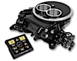 550-850 Throttle Body Injection Kit - Direct Fit