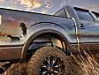 79121 Rear, Driver and Passenger Side Wheel Well Guard Series Fender Liner