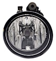 010456021 Front, Passenger Side Halogen Fog Light, With bulb(s)