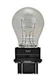 3047 Light Bulb - Universal