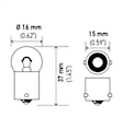 67TB Light Bulb - Incandescent, Direct Fit, Sold Individually