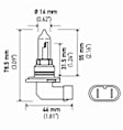 2008 Freightliner Columbia - Driver or Passenger Side Headlight Bulb, High Beam; Halogen - 12V - 100W, Sold individually