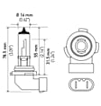 H10 Fog Light Bulb, Sold Individually