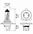 H4TB Light Bulb - Halogen, Direct Fit, Sold Individually