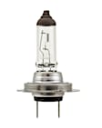 H7 70W Light Bulb - Universal