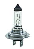 H7 Halogen Series Headlight Bulb, (12V 55W)